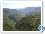 Black River Gorges / Gorges de la Riviere Noire