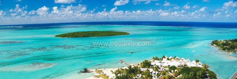 dolphin watch and dolphin swim in Mauritius