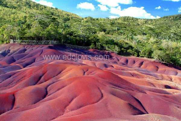 Tamaka tour, ile maurice