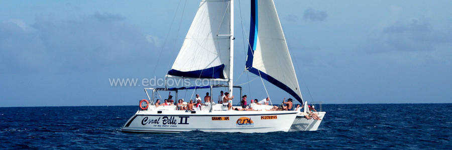 Catamaran for dolphin watch mauritius