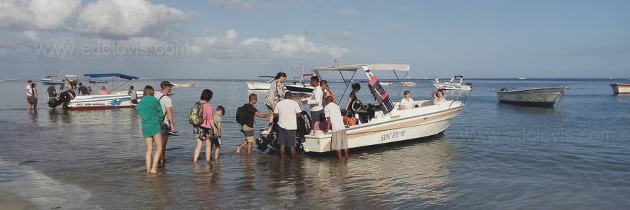 nage avec dauphin, ile maurice