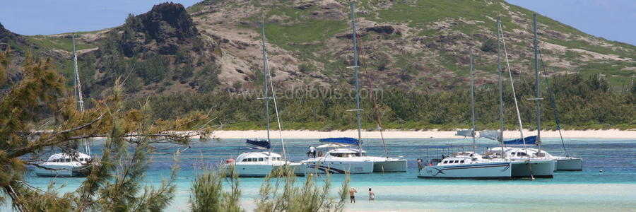 Catamaran for dolphin watch mauritius